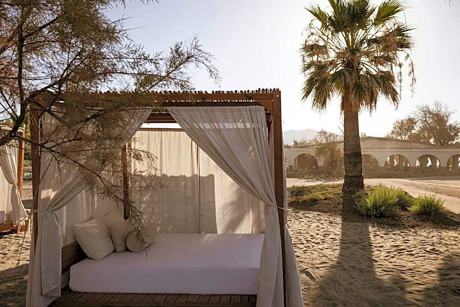 Domes Aulus Zante, Autograph Collection