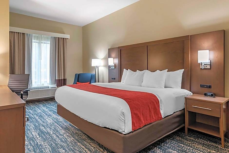 Comfort Inn & Suites Downtown near University