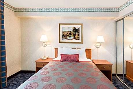 1 Double Bed, Mobility Accessible Room, Bathtub w/ Grab Bars, Non-Smoking