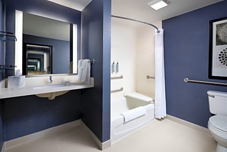 Suite, 1 Bedroom (1 Queen Bed and 1 Double Sofa Bed)