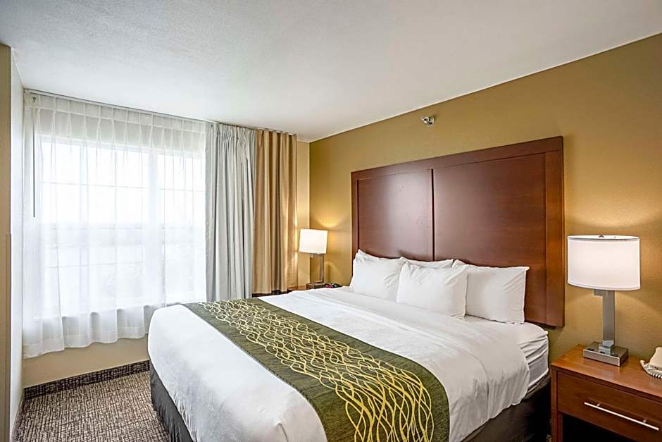 Comfort Inn And Suites