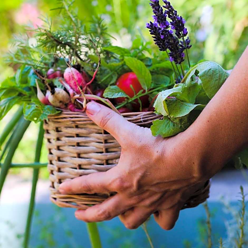 Sud Hôtel Restaurant