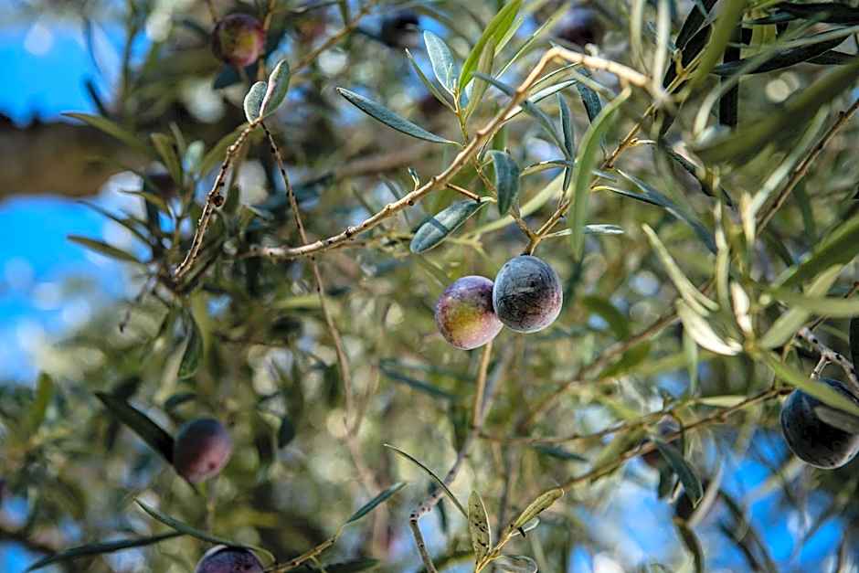 Hotel B&B Casa Arena Sevilla