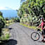 Tongariro Suites