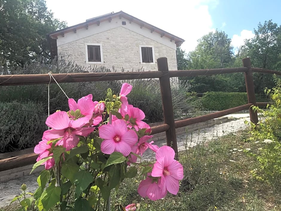 Country House Antiche Dimore