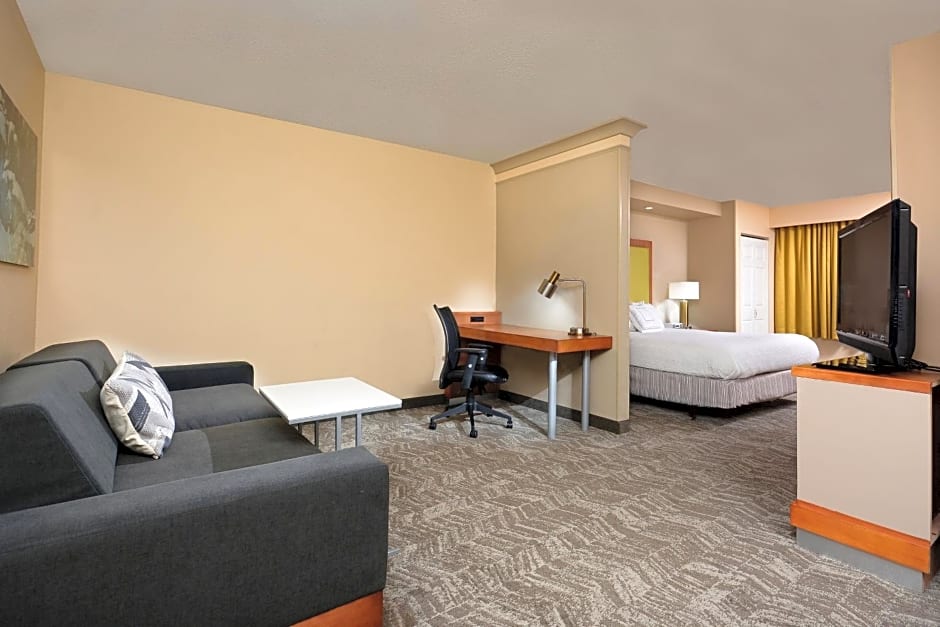 SpringHill Suites by Marriott Lynchburg Airport/University Area