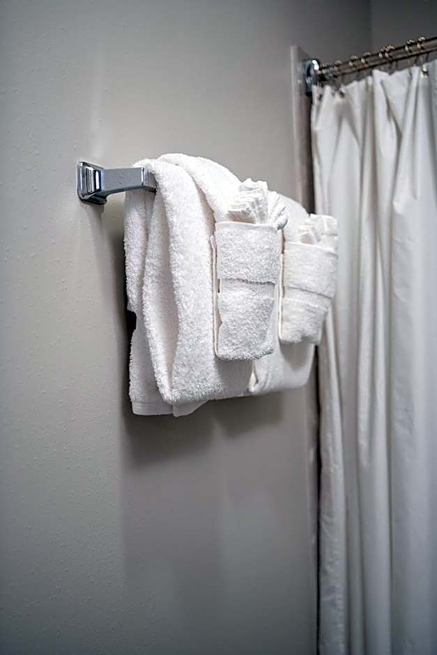 French Quarter Suites Hotel