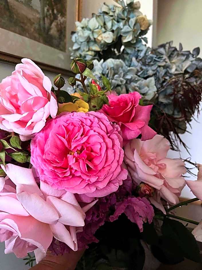 Green Gables B&B Waterfront Apartment or Garden Studio