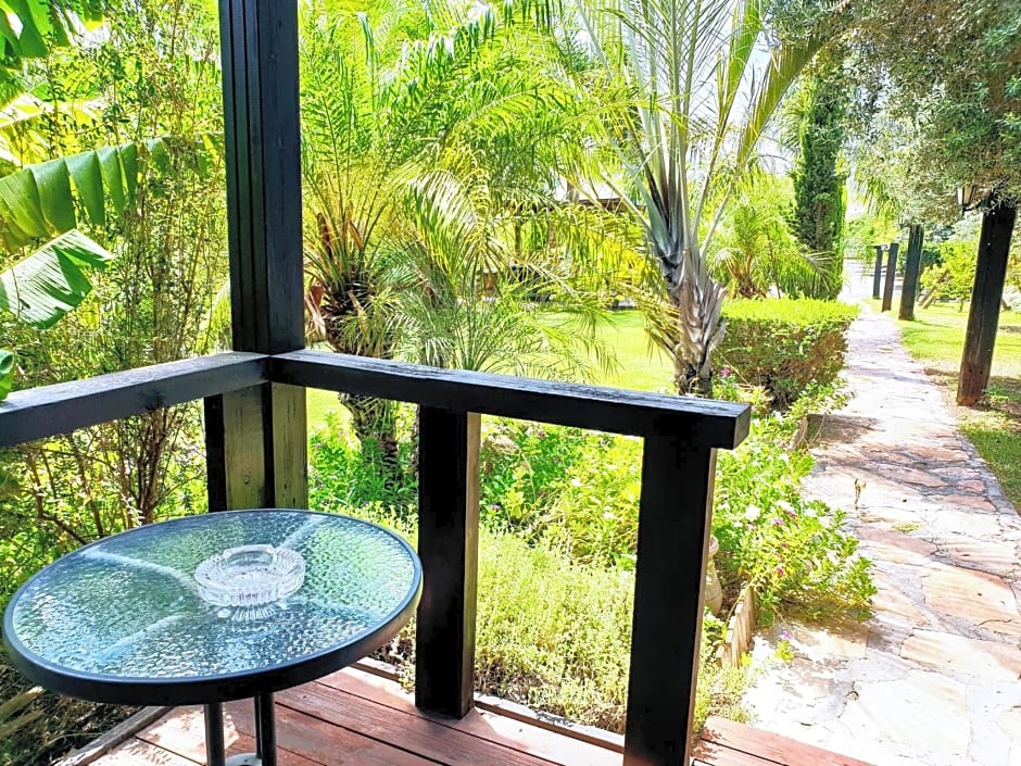 Good Zimmer With Love