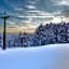 SKI INN HAKUBA