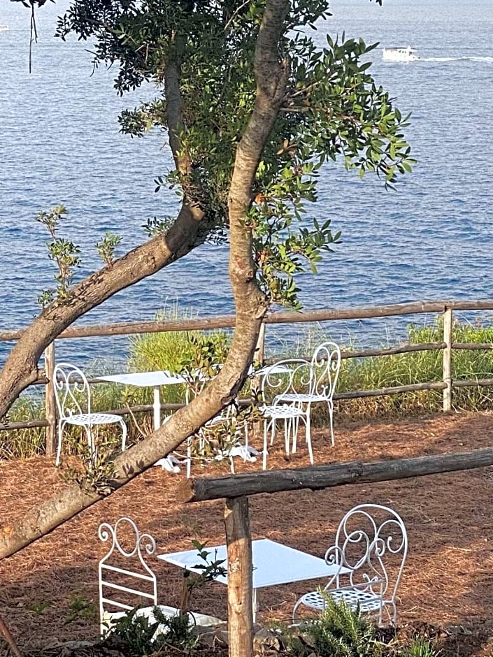 Hotel Carasco