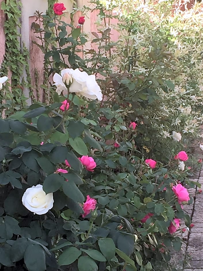 Rose Garden Mezzanine