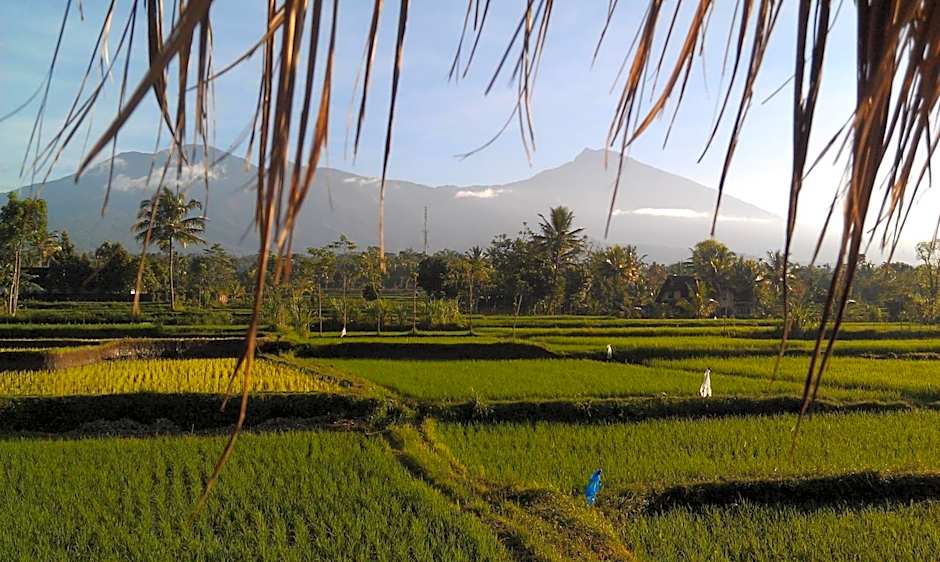 Pondok Indah Bungalows Tetebatu