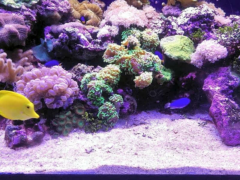 Casa Gianni Cala Gonone Mare