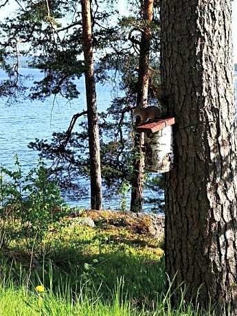 Club House Hotelli Kaipolan Ranta