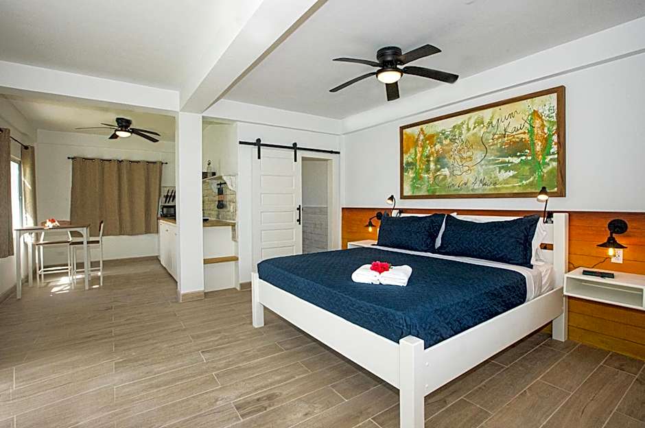 Photo 1 of 7 of Deluxe Studio 1 King Bed