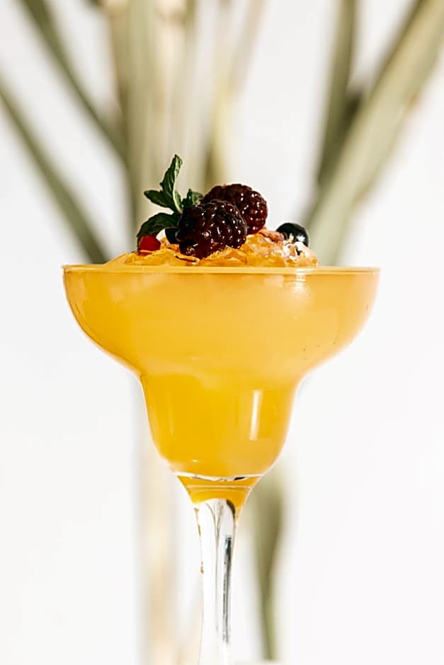 Astro Palace Hotel & Suites