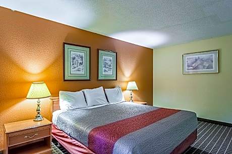 1 KING BED | ACCESSIBLE, NSMK, MICFRIDGE