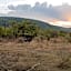 Makweti Safari Lodge