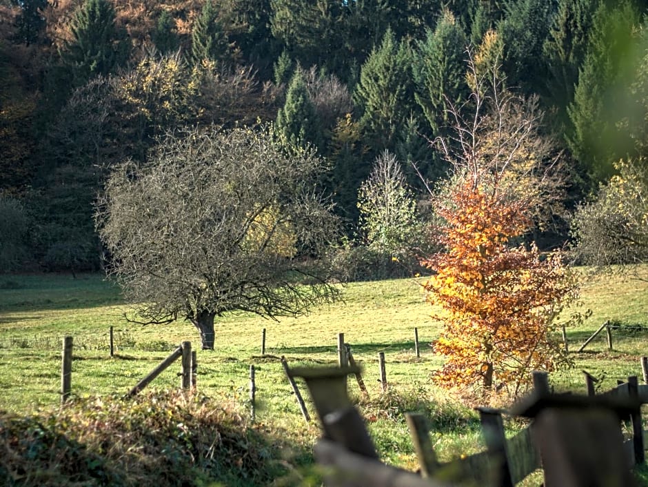 Natur & Wander Hotel Gassbachtal