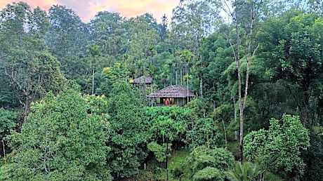 The Woods Resorts Wayanad