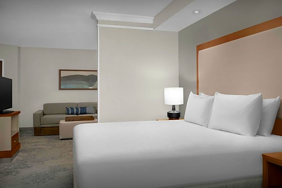 SpringHill Suites by Marriott Lynchburg Airport/University Area