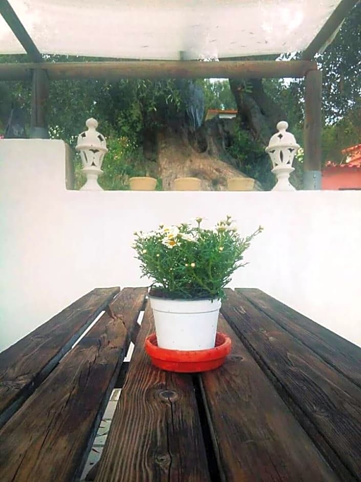 Borgo Degli Ulivi Rooms