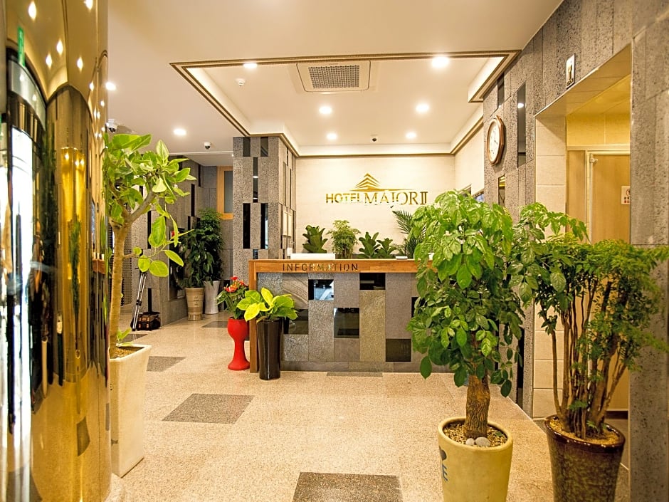 Major Hotel 2