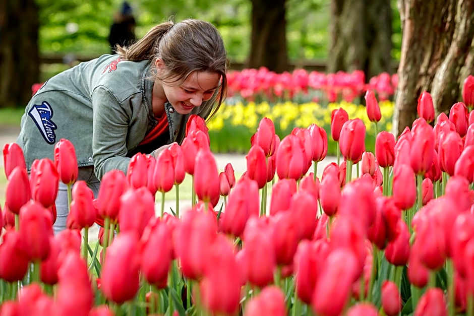 ibis Styles Haarlem City