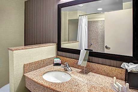 Room, 1 King Bed with Sofa bed (Mobility/Hearing Accessible, Tub) (1 King Bed and 1 Double Sofa Bed)