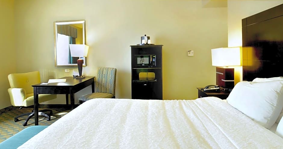 Hampton Inn Gadsden/Attalla Interstate 59