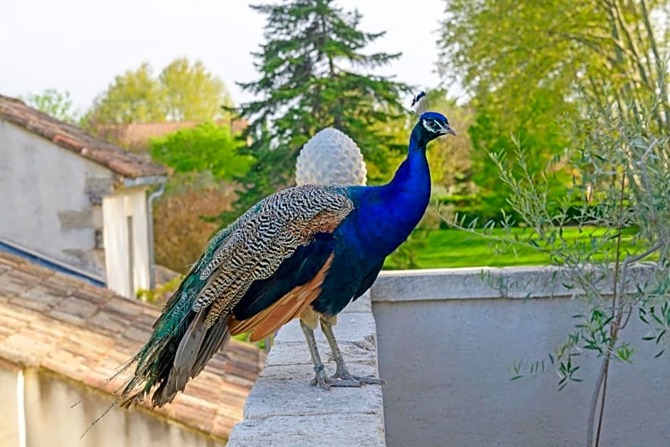 Bastide de Bellegarde