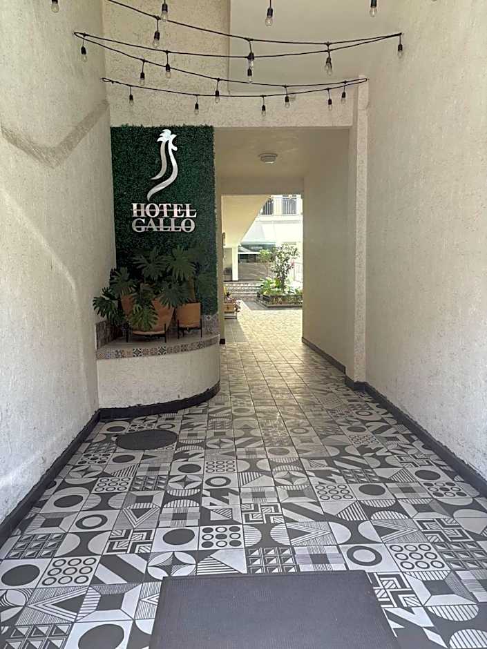 Hotel Gallo Rubio