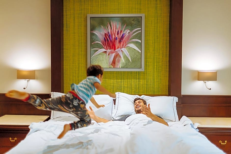 Occidental at Xcaret Destination - All Inclusive Resort