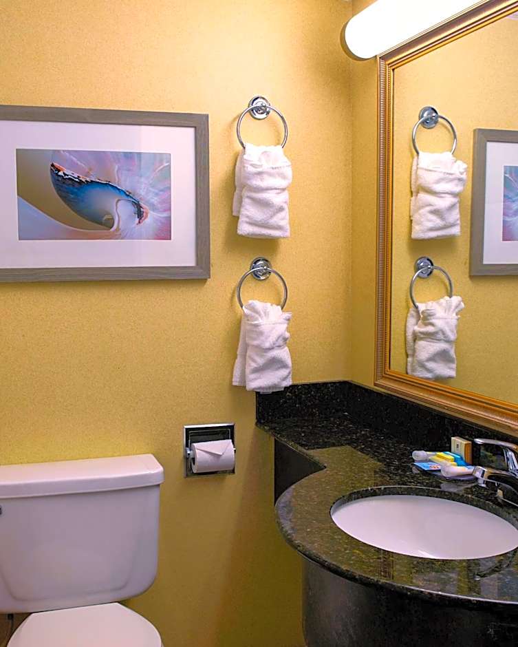 The Oceanfront Inn - Virginia Beach