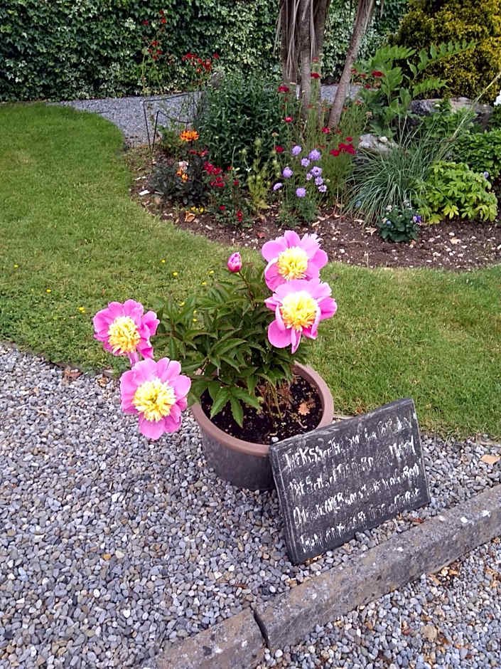 Twin Oaks Bed & Breakfast