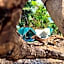 CampSarap Hostel & Resort