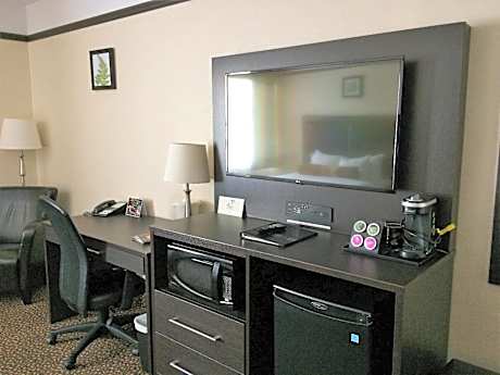 Queen Room with Sofa Bed - Ground Level