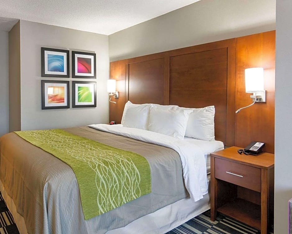 Quality Inn and Suites Ashland near Kings Dominion