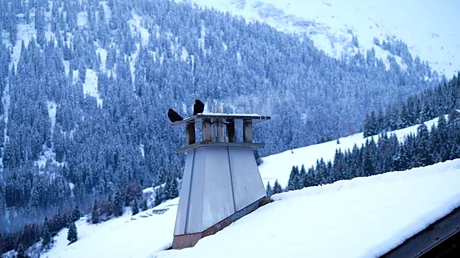 Workation Apartments - 24-7 Self-Checkin - Hotel Postigliun Sedrun