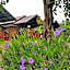 Chiang Dao Reset