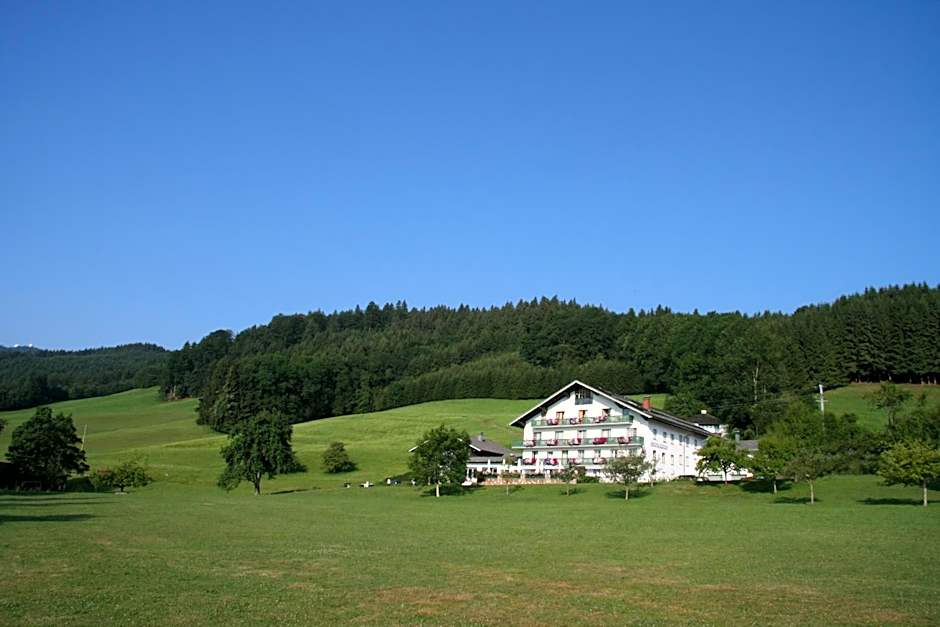 Hotel Garni Dorferwirt am Irrsee