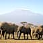 Kilima Safari Camp