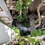 Posada Mariposa Boutique Hotel - 5th Avenue