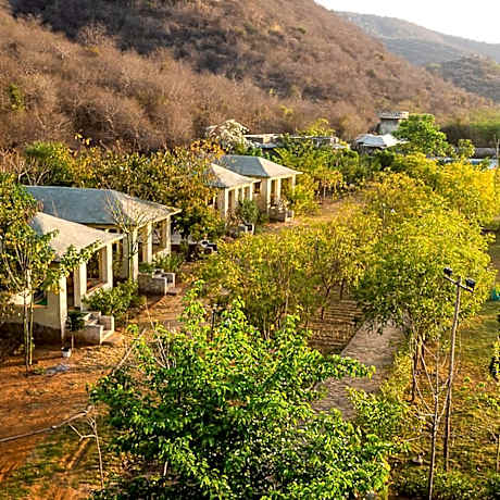 Sariska Jungle Camp