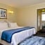 Taupo Thermal Motel and Spa ( Adults Only )