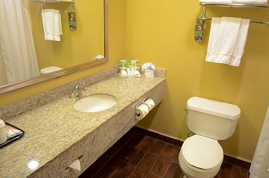 Holiday Inn Express Hotel & Suites Houston-Downtown Convention Center By IHG