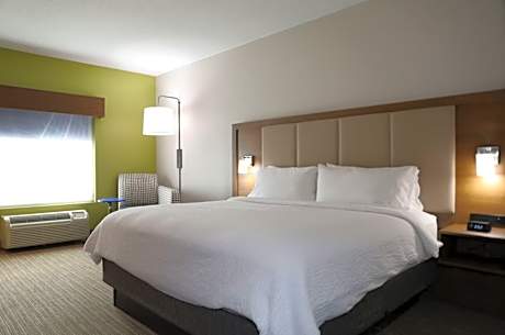 1 King Communication Mobility Accessible Tub Sofa Bed