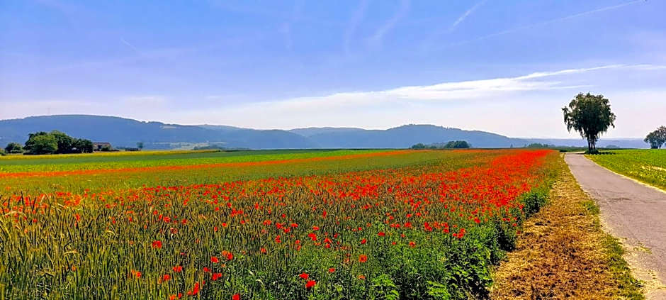 Moselblick Hotel Aroma