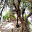 Amaka House